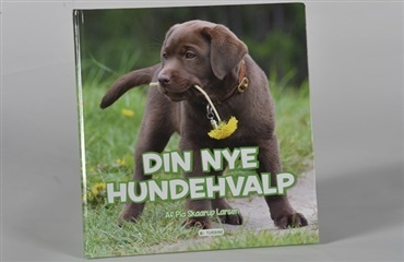 Din nye hundehvalp