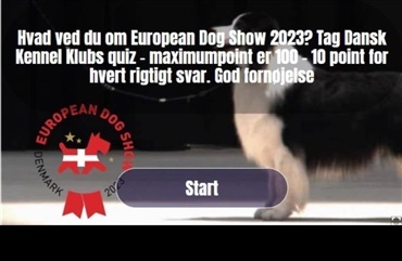Quiz om European Dog Show