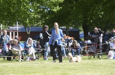 Endelig er de her! Billeder fra udstillingen i Roskilde 