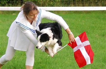 Nordiske mesterskaber i Dog Dancing