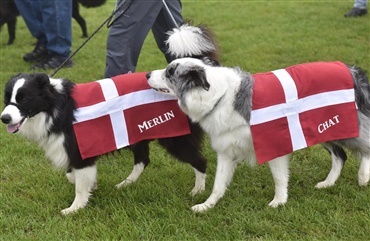 NORDISKE MESTERSKABER I RALLY 2019