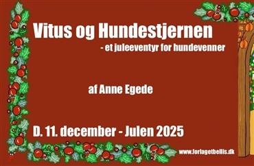 Vitus og hundestjernen - 11. December