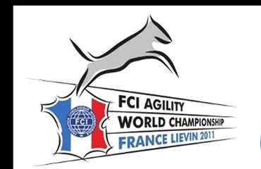 VM i agility