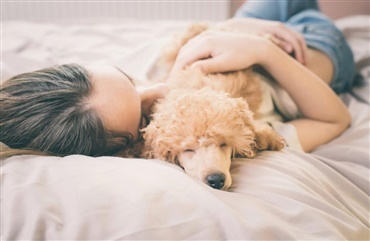 7 grunde til at sove med hunden