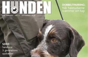 HUNDEN er lukket ud