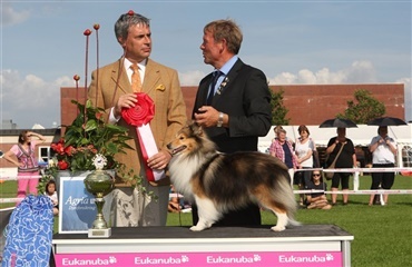 Best in show-vinder i dag i Vejen