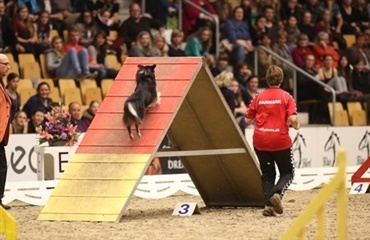 Agility til JBK Horse Show