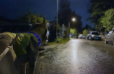 Firbenede trafikanter er ekstra udsatte i efter&aring;rsm&oslash;rket