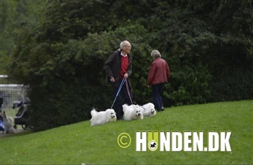 St&oslash;t en god sag, n&aring;r du lufter hund