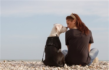 10 ting, mennesker kan lære af hunde