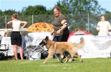 Sidste chance for Roskilde