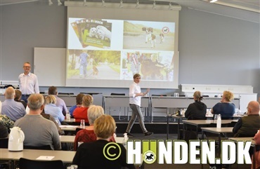 Hvordan skal DKK forholde sig til megatrends