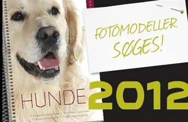 Skal din hund være med i Hundekalenderen 2012?