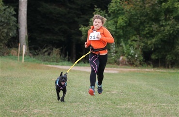 Mette vil unders&oslash;ge, om niveauet af fysisk aktivitet spiller ind p&aring; hundens adf&aelig;rd