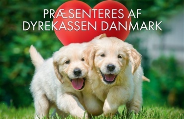 Få gratis online hvalpekursus 