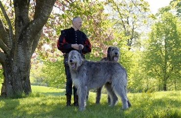 GIUM og de irske ulvehunde