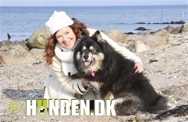 Gl&aelig;d dig til det kommende blad