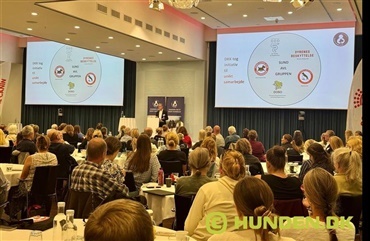 Hundevelf&aelig;rdskonference 2025: Sammen for hundenes bedste