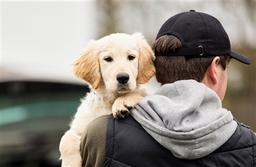 England vil forbyde kontante hundehandler