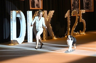 Sidste tilmelding til Winter Wonder Show i Herning