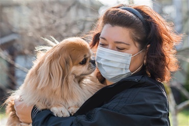 Dansk hund smittet – Hvad nu