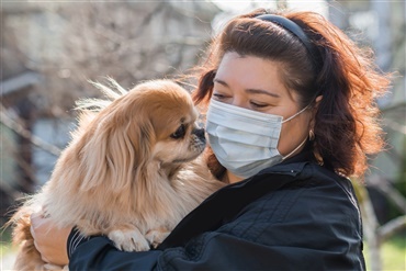 Dansk hund smittet – Hvad nu