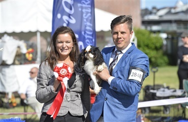 Firbenet fest i Vejen