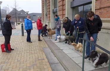 Fødevareminister Mette Gjerskov på hundekursus