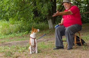 Taler du med din hund? Du er hverken skør eller ensom – men derimod intelligent