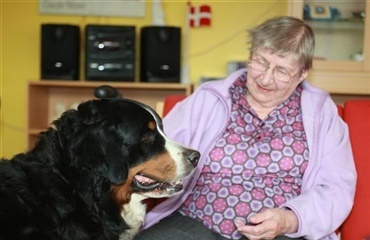 Hunden lige så vigtig som vennerne