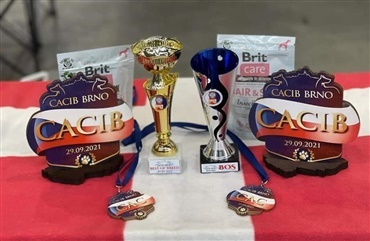 World Dog Show: Dag 1 i udstillings-&aring;nden