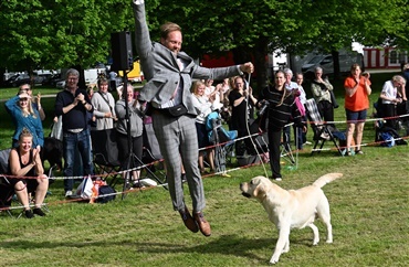 Labrador retrieveren overtog l&oslash;rdag 