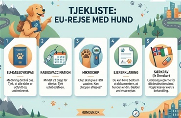 Rejse med hund: Reglerne i EU 2026