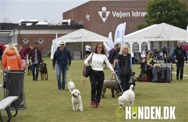 Se billederne: L&oslash;rdag formiddag i Vejen