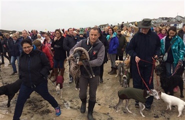 Hund tager på sin sidste gåtur – hundrede dukker op