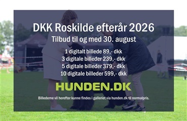 Alle billeder fra Roskilde er online