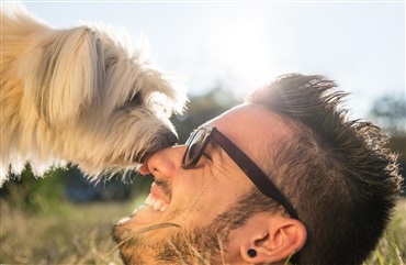 Studie: Hunden genkender din stemme