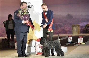 &Aring;rets Hund blev norsk