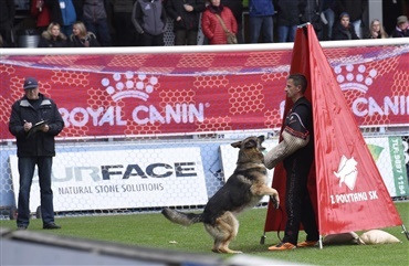 Må man tage sig ind i parken - Hunden.dk