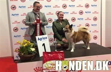 Josefine blev dagens juniorhandler