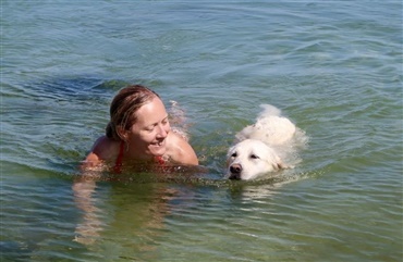BLOG: Aktiv hund i sommervarmen?