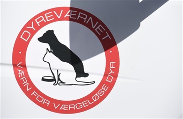 Lykkeligt liv for forsvunden hund