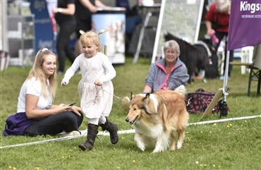 Hundedagene er aflyst 