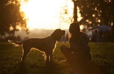 Giv din hund et langt og godt liv