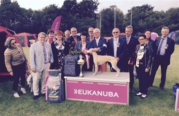 Så blev lørdagens Best in Show i Rønne fundet!