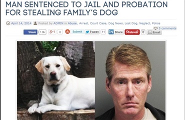 Fængslet for tyveri af familiehund
