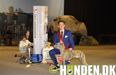 Daniel er &Aring;rets Juniorhandler 2017  