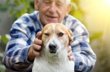K&aelig;rlighed til hunde g&aring;r mindst 14000 &aring;r tilbage