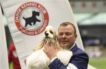 Ballerup: Hundenes kamp om K&oslash;benhavn