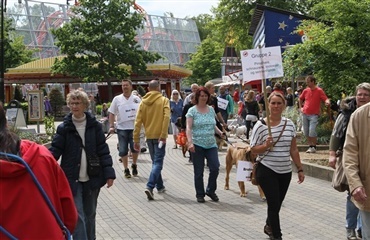 REPRÆSENTER DIN RACE I TIVOLI FRIHEDEN I ÅRHUS